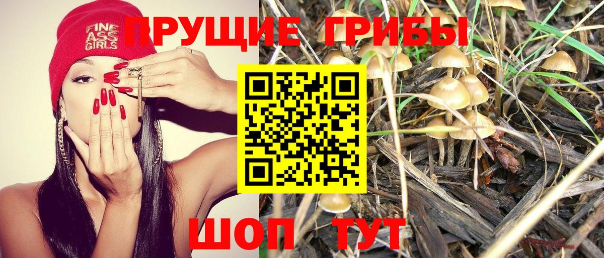 Галлюциногенные грибы MAGIC MUSHROOMS  Вход с VPN  Норильск 