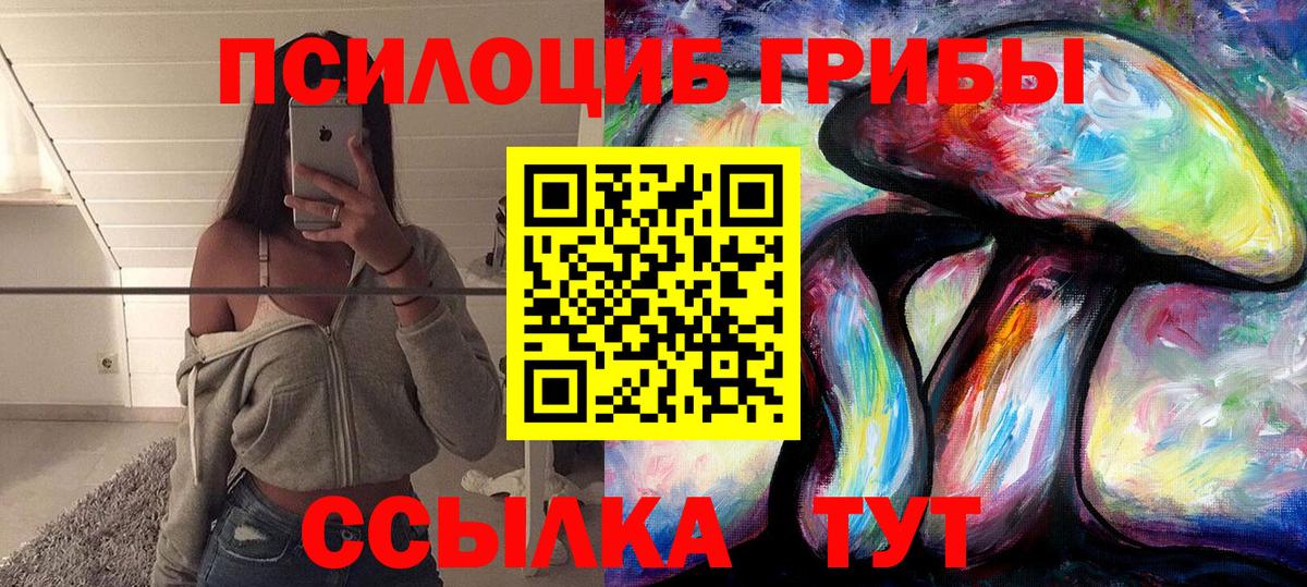 Псилоцибиновые грибы мицелий Норильск